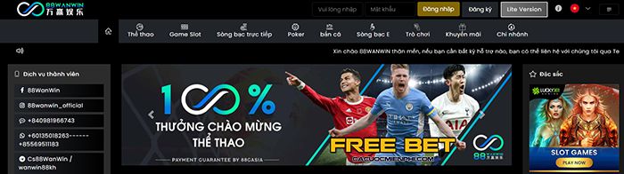 Chơi game đá gà trực tuyến tại Av88 - Av88