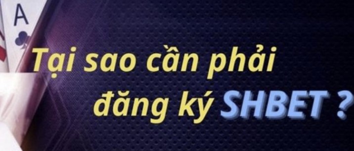 Sic Bo (Betvisa) là một trò chơi phổ biến - Betvisa