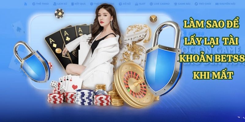 Trò chơi chọi gà cấp độ Letou - Letou