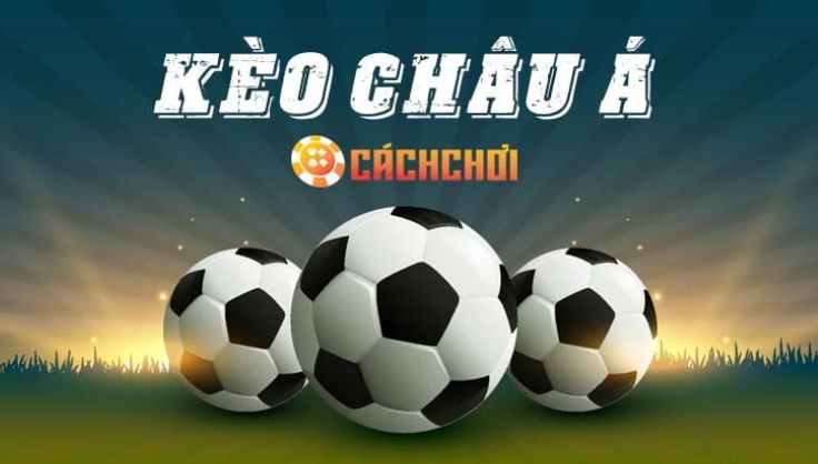 Trang web Bancah5 là gì? - Bancah5