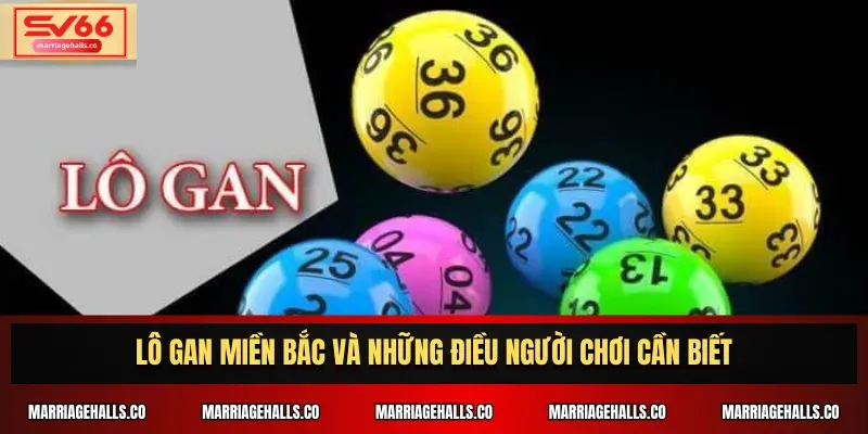 Cá cược hạng Gi8 bao gồm những gì? - Gi8