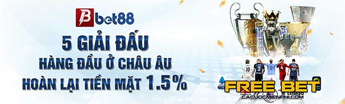 Đánh giá chất lượng dịch vụ và trải nghiệm của 2Q - 2Q