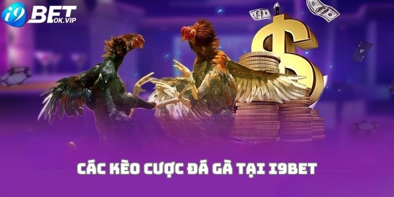 Người dùng cần chú ý điều gì khi đăng nhập vào Win58? - Win58