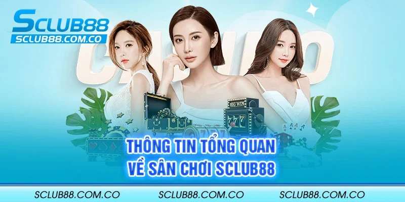 Kv99 có những ưu điểm gì giúp nó đánh bại các đối thủ cạnh tranh? - Kv99