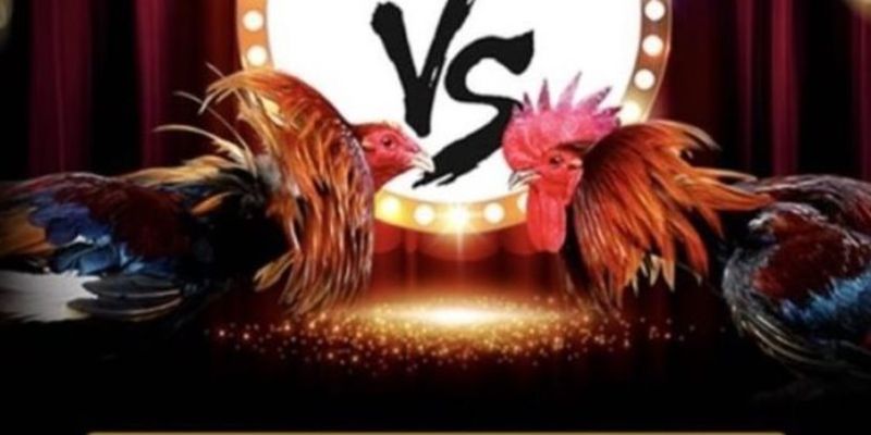 Game 33King – Sự lựa chọn hoàn hảo cho những người đam mê game - 33King
